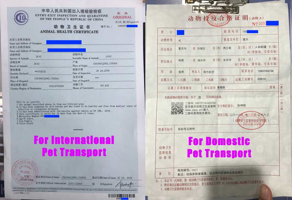 Bringing Your Pet Cat or Dog (Including Snub-Nosed Breeds) Out of China –  Duke Villanueva